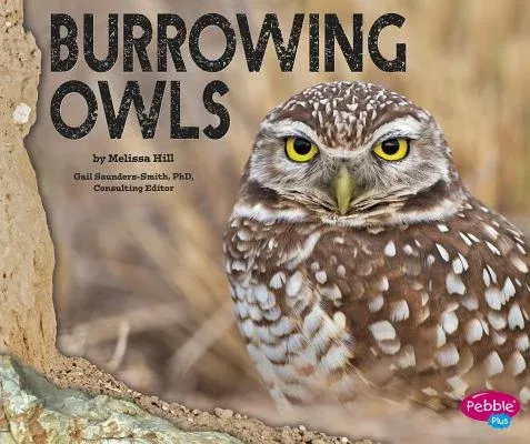 Burrowing Owls