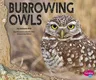 Burrowing Owls