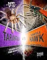 Tarantula vs. Tarantula Hawk: Clash of the Giants