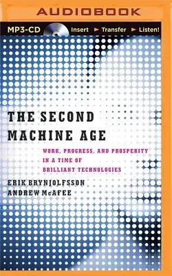 The Second Machine Age: Work, Progress, and Prosperity in a Time of Brilliant Technologies