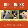 Dog Tricks Even You Can Teach Your Pet: A Step-By-Step Guide to Teaching Your Pet to Sit, Catch, Fetch, and Impress