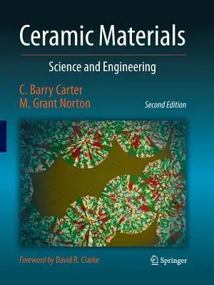 Ceramic Materials: Science and Engineering (Softcover Reprint of the Original 2nd 2013)