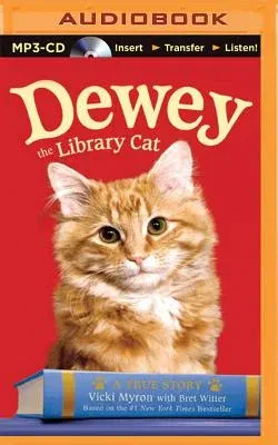 Dewey the Library Cat