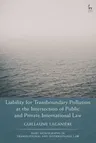 Liability for Transboundary Pollution at the Intersection of Public and Private International Law