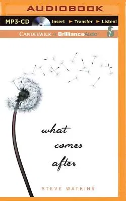 What Comes After