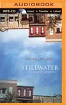 Stillwater: A Jack McBride Mystery