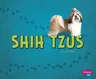 Shih Tzus