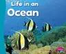 Life in an Ocean (Revised)