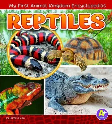 Reptiles