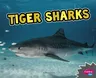 Tiger Sharks