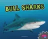 Bull Sharks