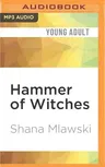 Hammer of Witches