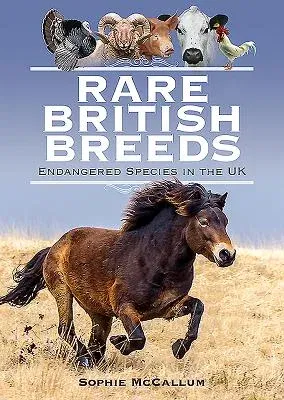 Rare British Breeds: Endangered Species in the UK