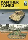 Panther Tanks - German Army Panzer Brigades: Western and Eastern Fronts, 1944-1945