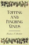 Topping and Pinching Vines