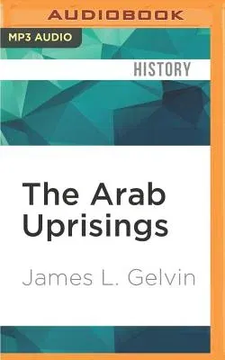 The Arab Uprisings: What Everyone Needs to Know