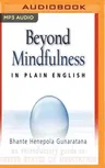 Beyond Mindfulness in Plain English: An Introductory Guide to Deeper States of Meditation