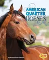 American Quarter Horses