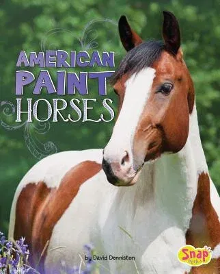 American Paint Horses