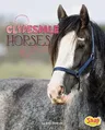 Clydesdale Horses