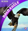 A Day in the Life of a Bald Eagle: A 4D Book