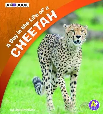 A Day in the Life of a Cheetah: A 4D Book