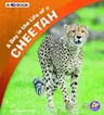 A Day in the Life of a Cheetah: A 4D Book