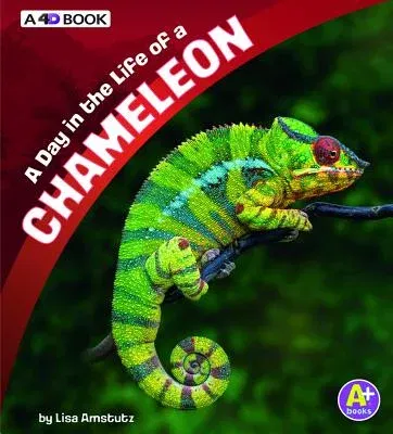 A Day in the Life of a Chameleon: A 4D Book