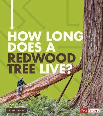 How Long Does a Redwood Tree Live?