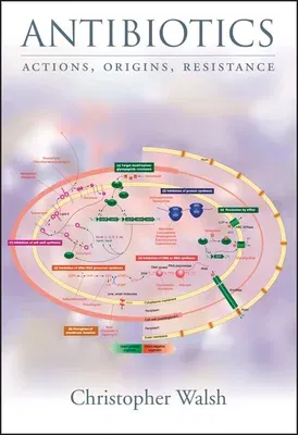 Antibiotics: Challenges, Mechanisms, Opportunities