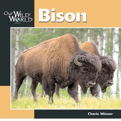 Bison