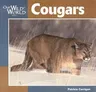 Cougar