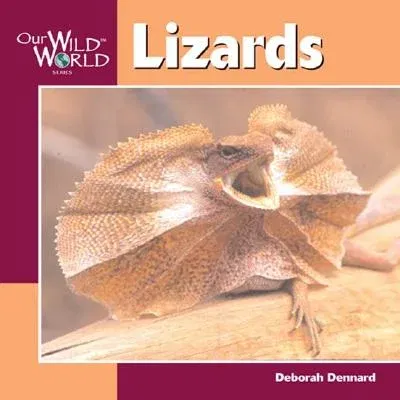 Lizards