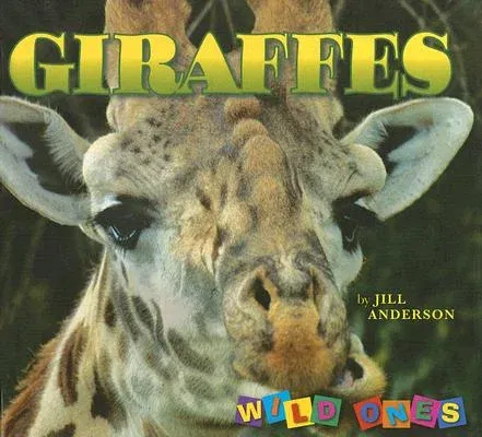 Giraffes