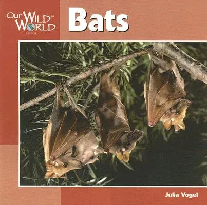 Bats