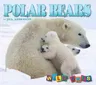 Polar Bears