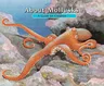 About Mollusks: A Guide for Children