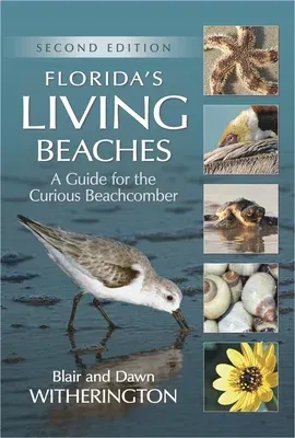 Florida's Living Beaches: A Guide for the Curious Beachcomber