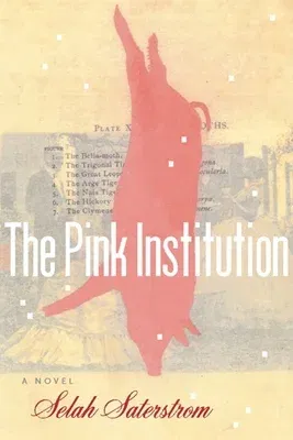 The Pink Institution