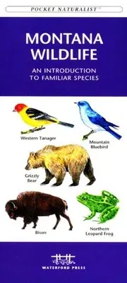 Denali Wildlife: A Folding Pocket Guide to the Wildlife of Denali National Park & Denali State Park