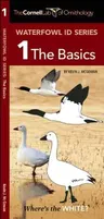 Waterfowl Id Series: 1 the Basics