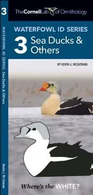 Waterfowl Id Series: 3 Sea Ducks & Others