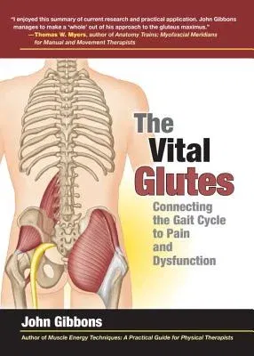 The Vital Glutes: Connecting the Gait Cycle to Pain and Dysfunction