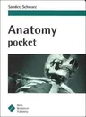 Anatomy Pocket