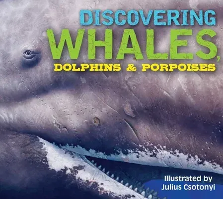 Discovering Whales, Dolphins and Porpoises: The Ultimate Guide to the Ocean's Largest Mammals