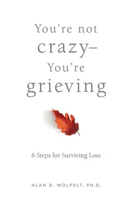 You're Not Crazy--You're Grieving:: 6 Steps for Surviving Loss