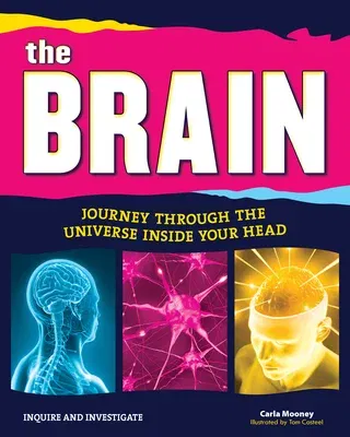 The Brain: Journey Through the Universe Inside Your Head