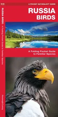 Russia Birds: A Folding Pocket Guide to Familiar Species