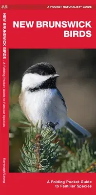 New Brunswick Birds: A Folding Pocket Guide to Familiar Species