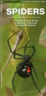 Spiders: A Folding Pocket Guide to Familiar Species Worldwide